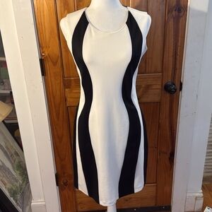 Alexia Admor Fitted Black and White dress